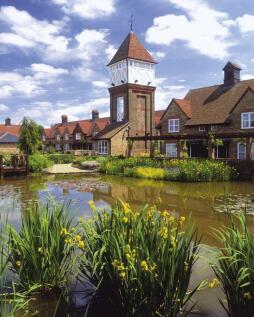 Bluecoat Pond