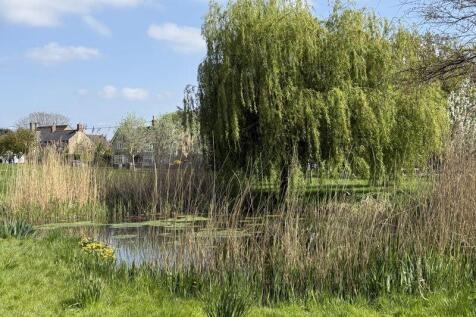 Meadow Pond