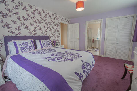 20250625-DSC05046...