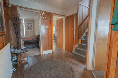 20250729-DSC05809...