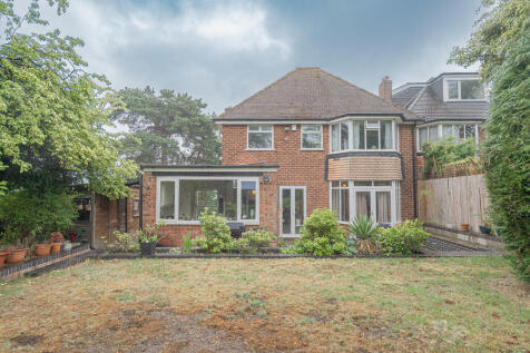 20250729-DSC05841...