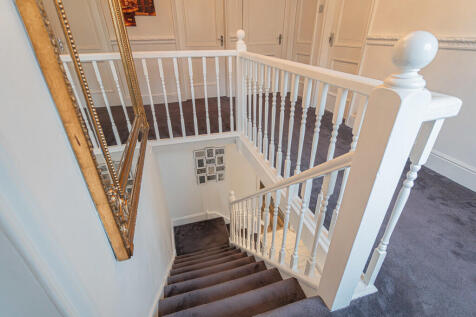 20251013-DSC06912...