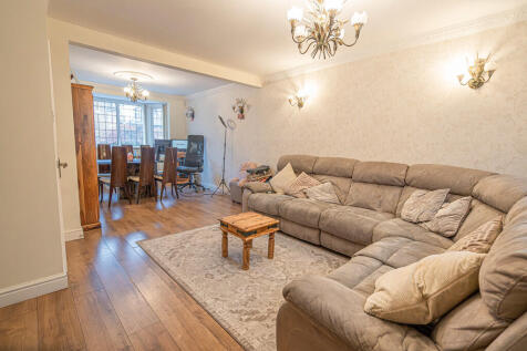 20251015-DSC06984...