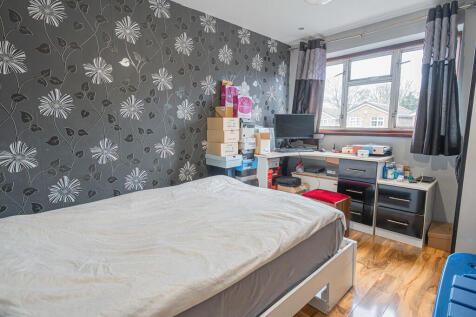 20251104-DSC07104...