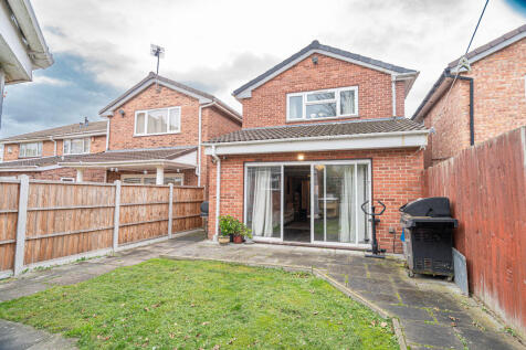 20251104-DSC07116...