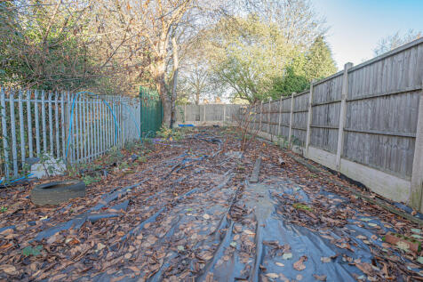 20251118-DSC07208...