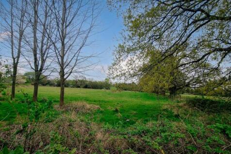 wilmore garden 4.jpg