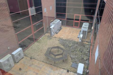 20250305_104356000_iOS 5.jpg