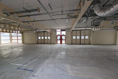 20250305_104356000_iOS 3.jpg