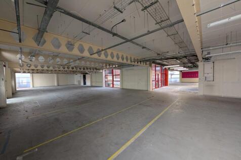 20250305_104356000_iOS 2.jpg