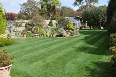 77 Golden Avenue Garden 2.JPG