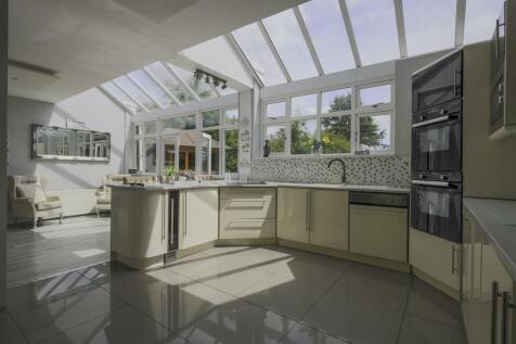 0T6A4445-Edit copy.jpg