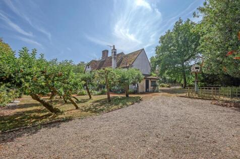 Rear Elevation With Driveway