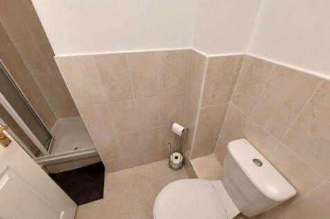 20241205_140936 (...