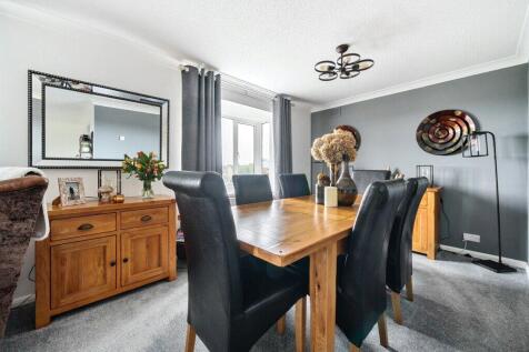 Living / Dining Area