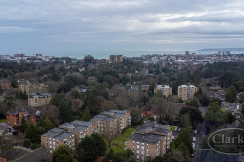 20240216174324155_original