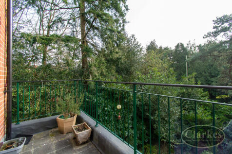 20250220101743507_original