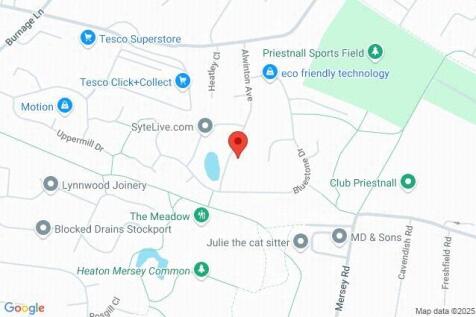 Google Maps Image