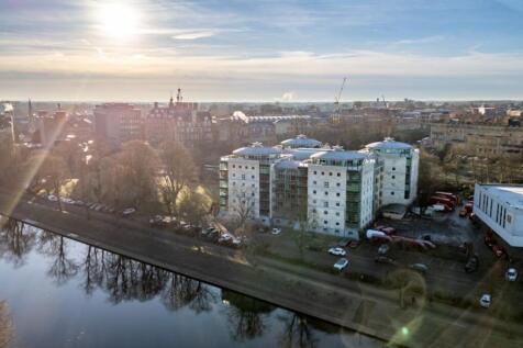 ariel (1 of 1)-2.jpg