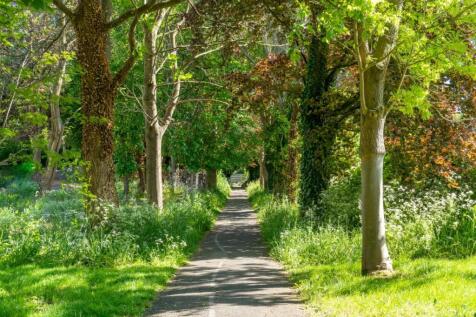 Site General 1 (2).jpg