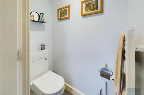 CAM02558G0-PR0115-ST