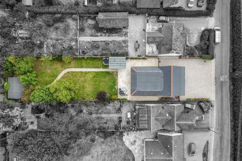 DJI_20250819105554_0205_D copy bw - Copy.jpg