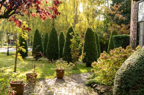 Property Image 34