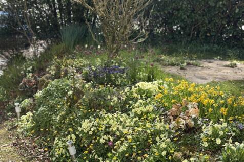 Colourful Borders