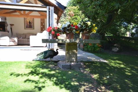 Photo 29