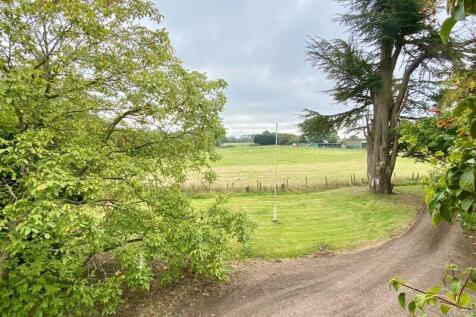 View from Master Bedroom