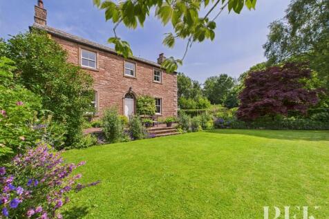 Netherscales Front Aspect