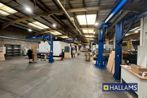 WhatsApp Image 20250318 at 123222_545a317b.jpg