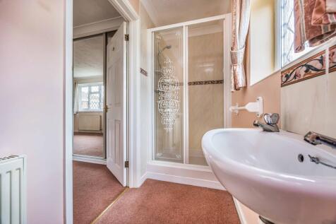 20240823122136586_original [36419722].jpg