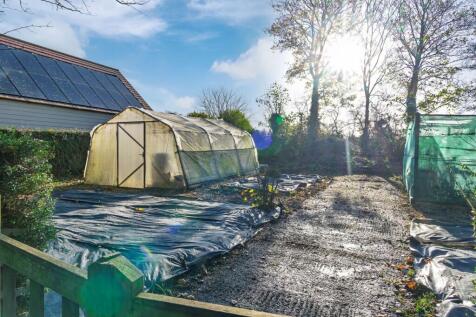 Enjoy the peace of the alotment