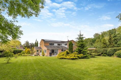 Property Image 8