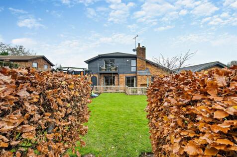 Property Image 23