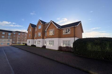 WhatsApp Image 2026-01-16 at 12.26.44 PM.jpeg