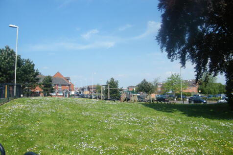 Local Park
