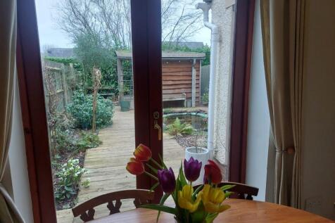 View from Dining Room