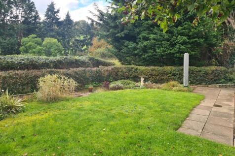 photo description (15)