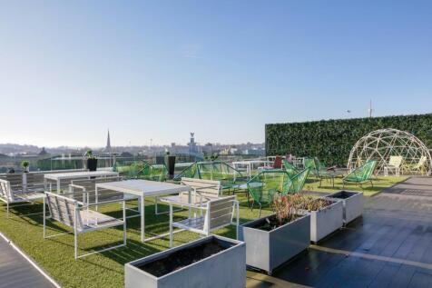 _WP_4378 lighter.jpg