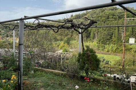 Garden and views