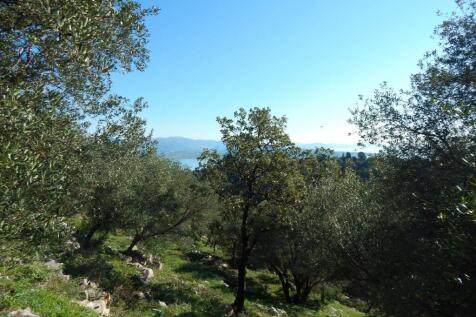 View of plot