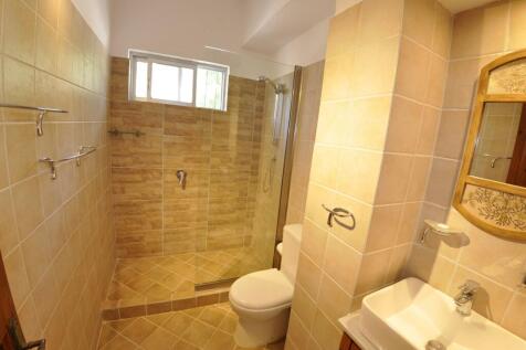 Apt 2 shower room