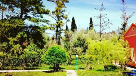 surrounding area