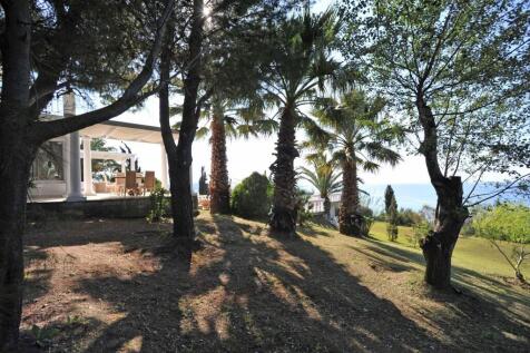 Mature trees in the garden