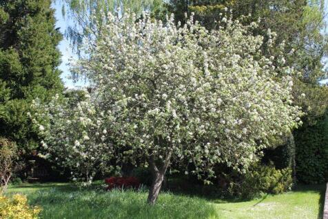 Photo 26