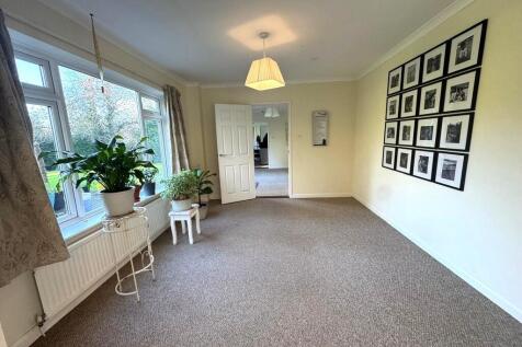 WhatsApp Image 20...