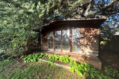 WhatsApp Image 20...