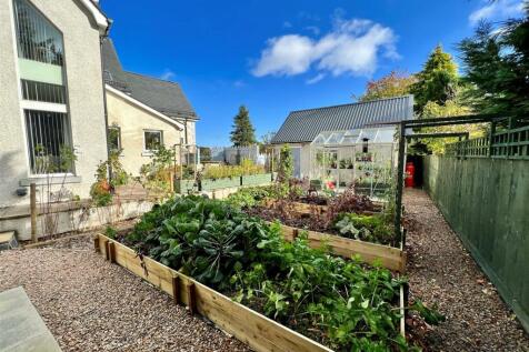 garden 5.jpg